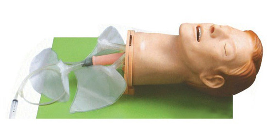 康人 高级多功能气道管理模型 KAR/51 