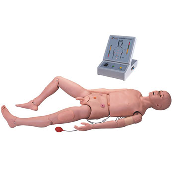  高级成人护理及CPR模型人 KAR/3000