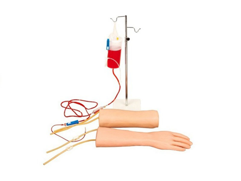  手部、肘部组合式静脉输液（血）训练模型 KAR/S18