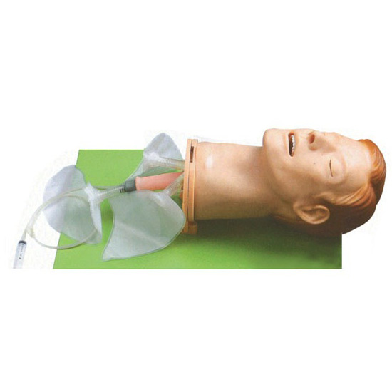 高级多功能气道管理模型KAR/51