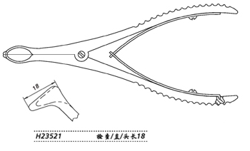 金钟鼻镜H23521