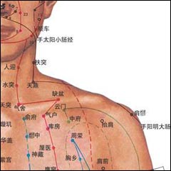 【通经络,针穴位】        中国传统医学的发扬光大,经络学说是中国